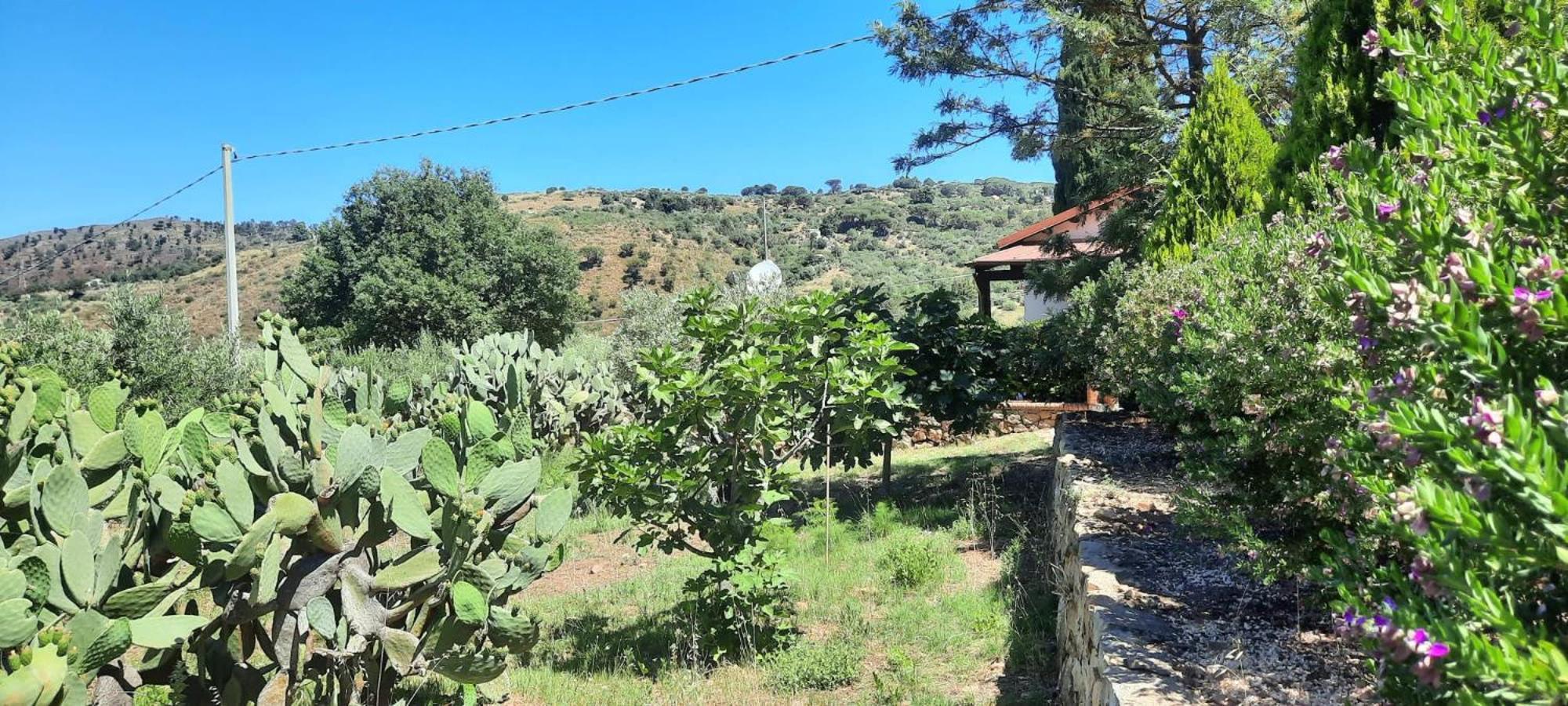Villa Al Presti, Vacanze In Pieno Relax Cefalù Exterior foto