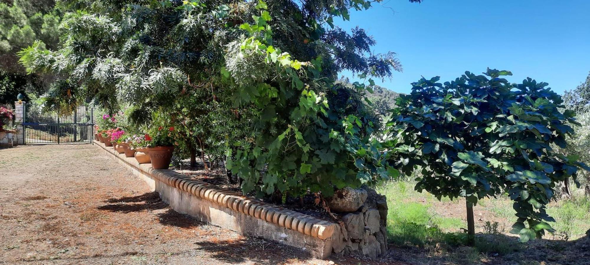 Villa Al Presti, Vacanze In Pieno Relax Cefalù Exterior foto